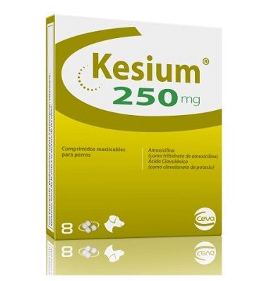KESIUM® 250 mg. 8 Comp.m. - Rafael del campo