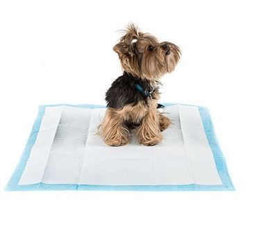 empapador para perros 60x60, 5ud